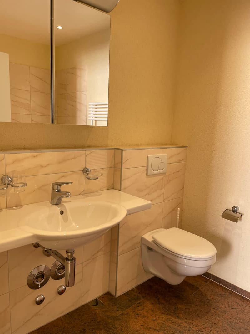4067.000009 - Salle de bains/WC