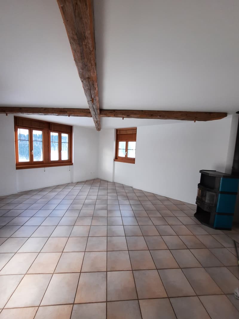Appartement lumineux de 3,5 pièces au 1er étage (4)