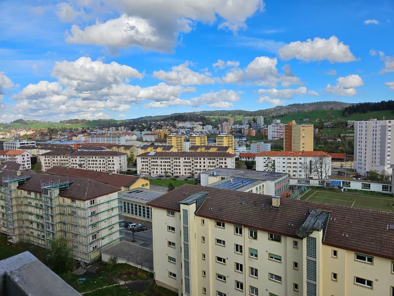 1300.000747 - Vue