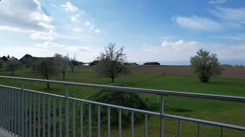 In a quiet village location - Modern 3.5 and 4.5-room apartment (6)
