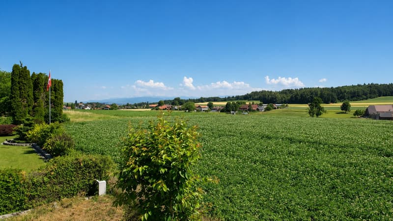 Casa unifamiliare affascinante a Guschelmuth – vivere con vista panoramica e tranquillità (6)