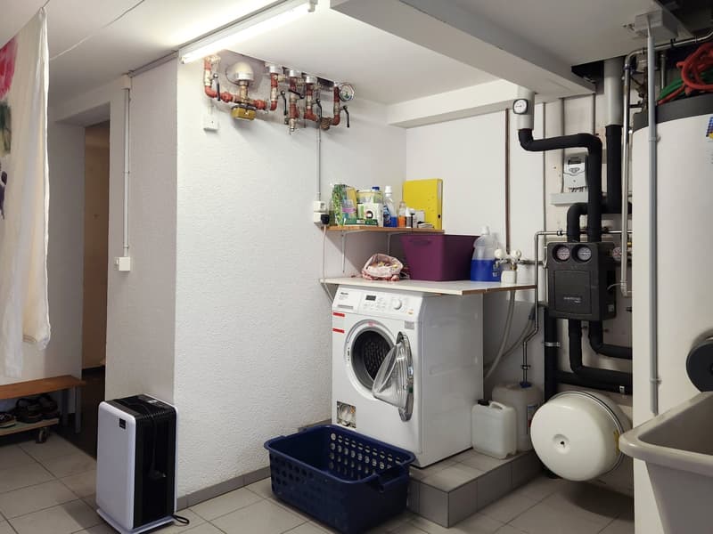 Laundry room with washing machine, storage boxes, and shelves with cleaning products