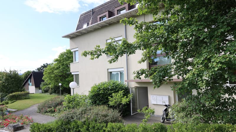 Attractive 4.5-room garden apartment with winter garden and chimney in Oberwil BL (2)