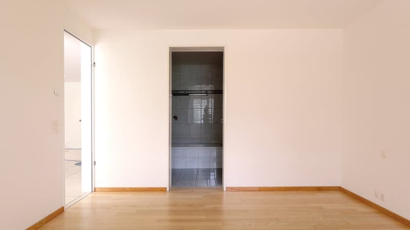 Attractive 4.5-room garden apartment with winter garden and chimney in Oberwil BL (12)