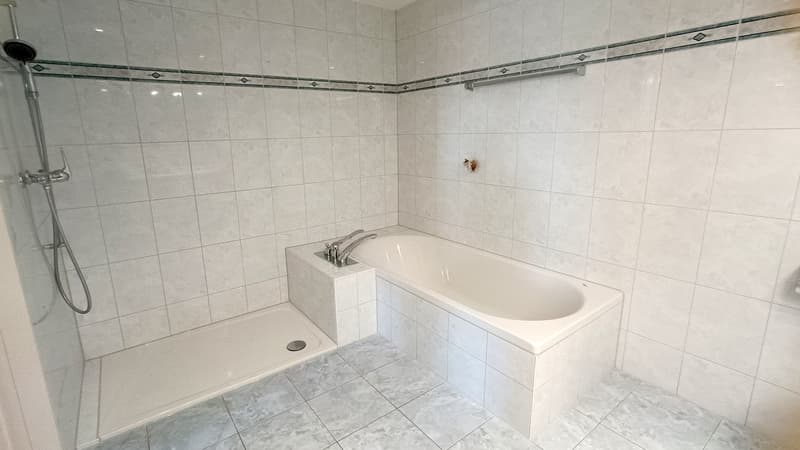 Attractive 4.5-room garden apartment with winter garden and chimney in Oberwil BL (14)