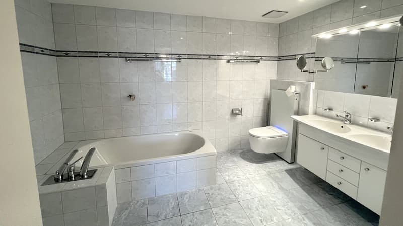 Attractive 4.5-room garden apartment with winter garden and chimney in Oberwil BL (13)
