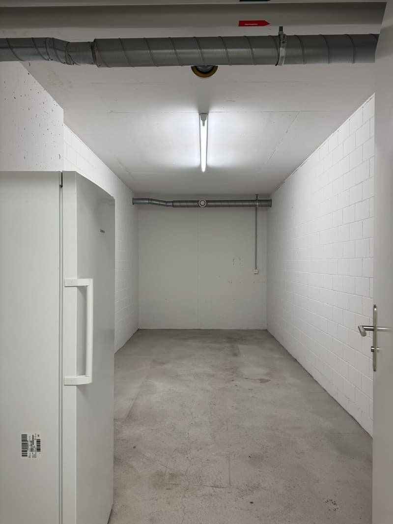 Modern, sunny 4.5-room apartment with balcony, parking space, and large cellar compartment (22)