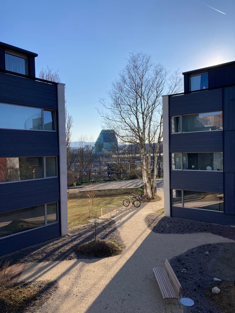 Appartamenti di nuova costruzione a Birsfelden (16)
