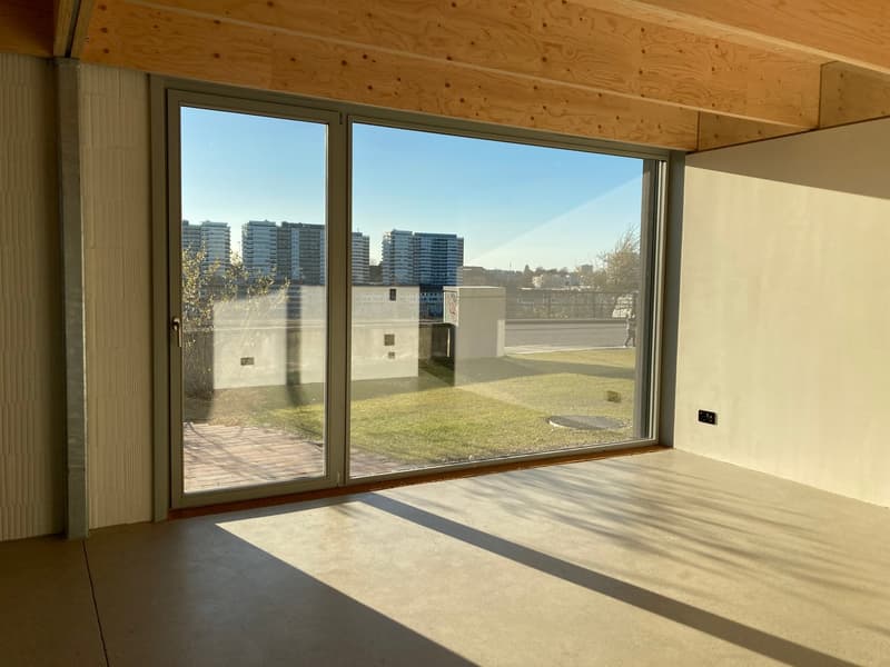 Gartenwohnung in Birsfelden - modern - neuwertig (10)