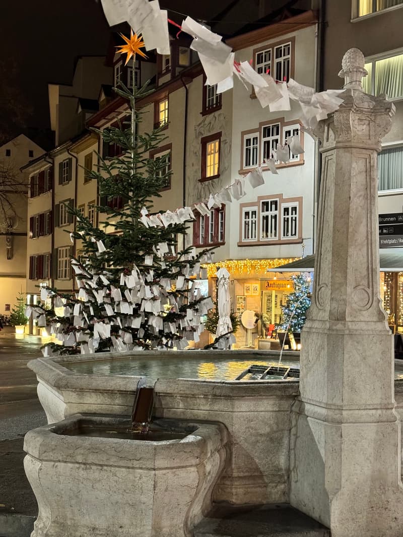 "Ein Bijou von Wohn- & Geschäftshaus im Herzen von Basel" (5)