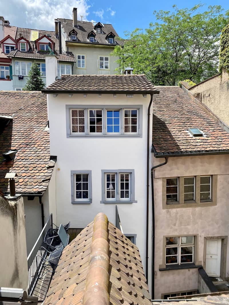 "Ein Bijou von Wohn- & Geschäftshaus im Herzen von Basel" (27)