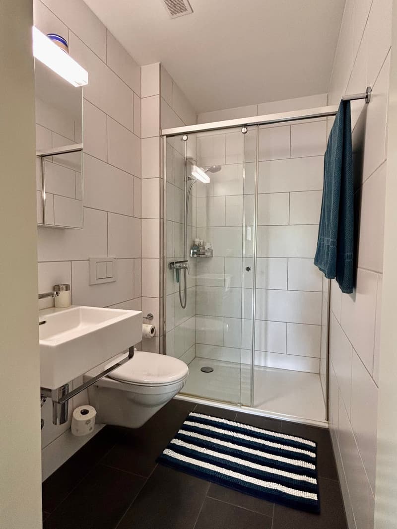 Appartamento moderno 3.5 locali con balconi e bella vista a Riehen (11)