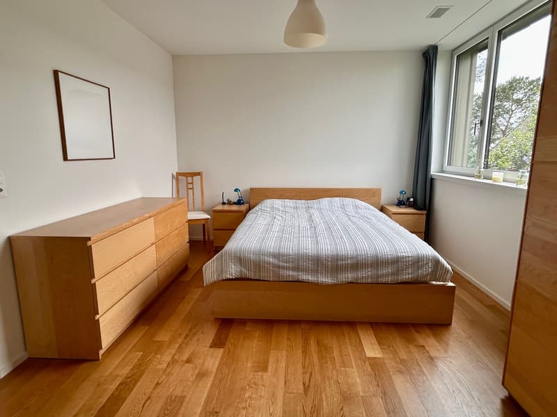 Appartamento moderno 3.5 locali con balconi e bella vista a Riehen (12)