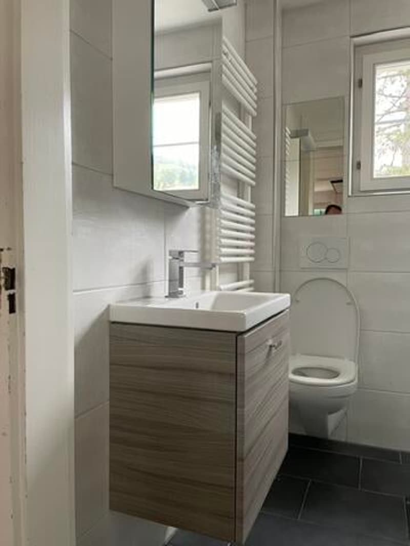 Charmantes 6.5-Zimmer-Einfamilienhaus in Balsthal (12)