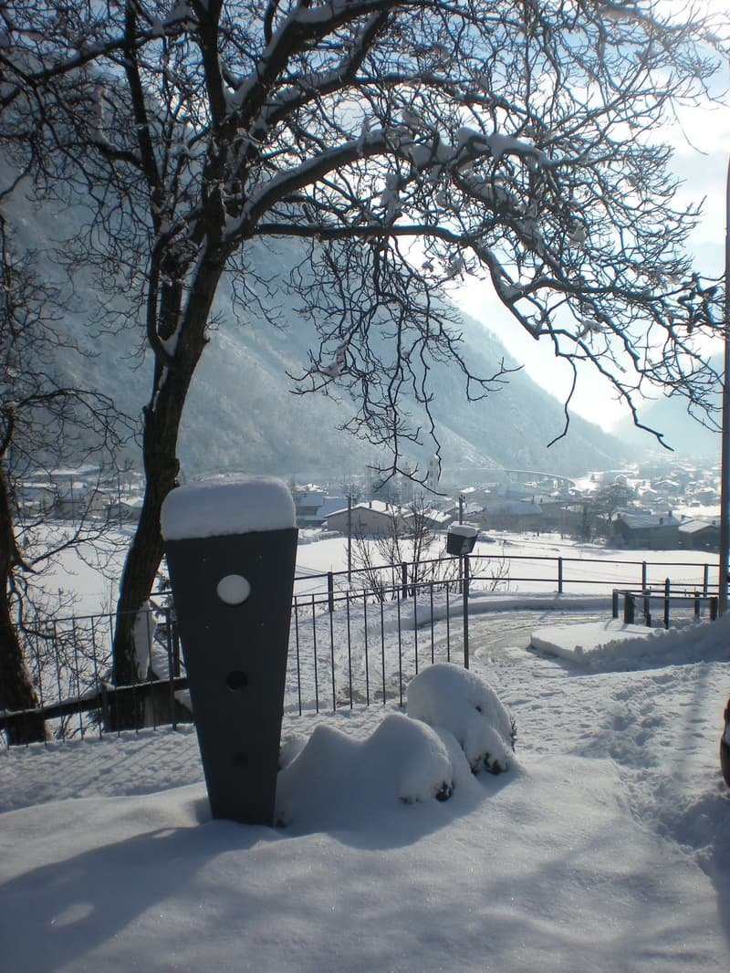 snowy garden with a tree, fence, and a snow-covered post