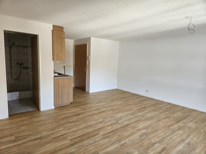 2.5 bedroom apartment (4)