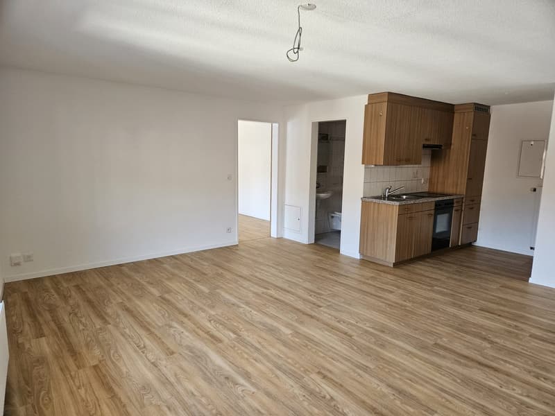 2.5 bedroom apartment (2)