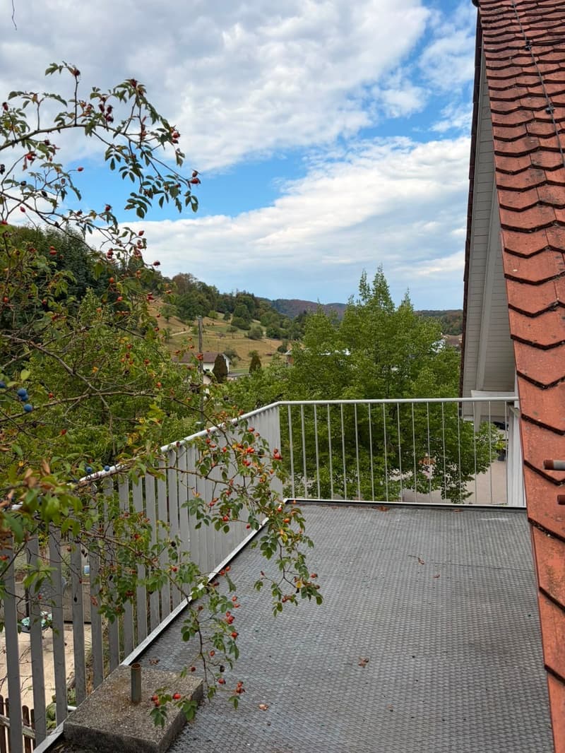 3.5 Zimmer mit Terrasse (2)