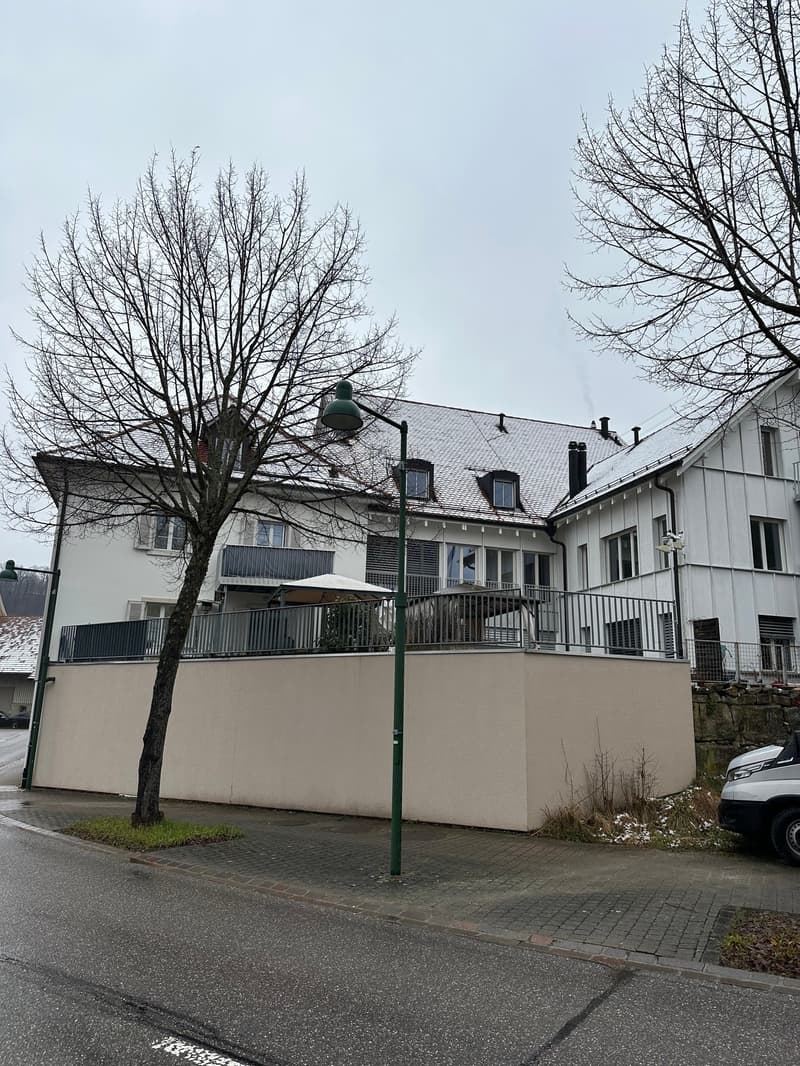 3.5 Zimmer mit Terrasse (1)
