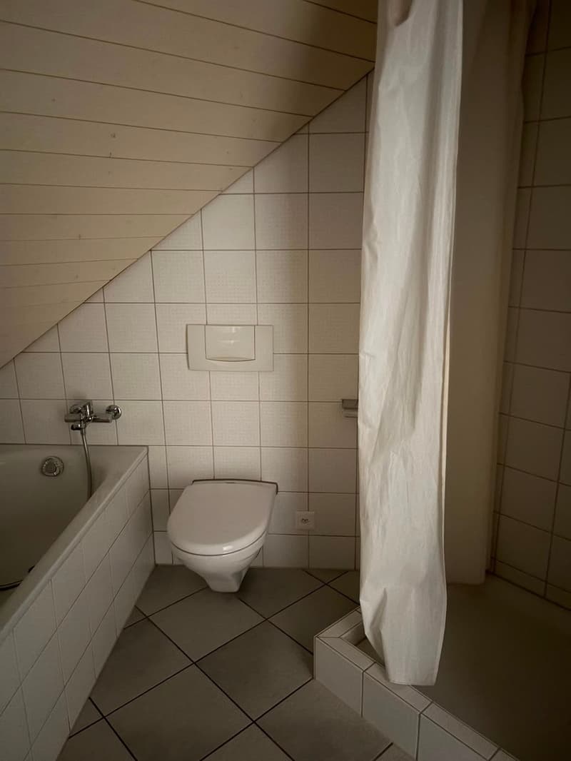 3.5 Zimmer mit Terrasse (13)