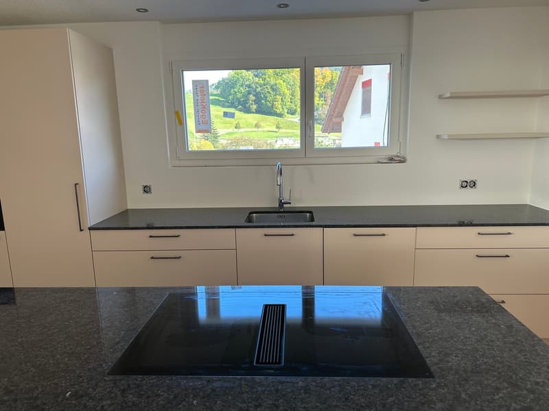 Moderne 5.5-Zimmer-Neubau-Einfamilienhaus mit Bergblick in Muemliswil (5)