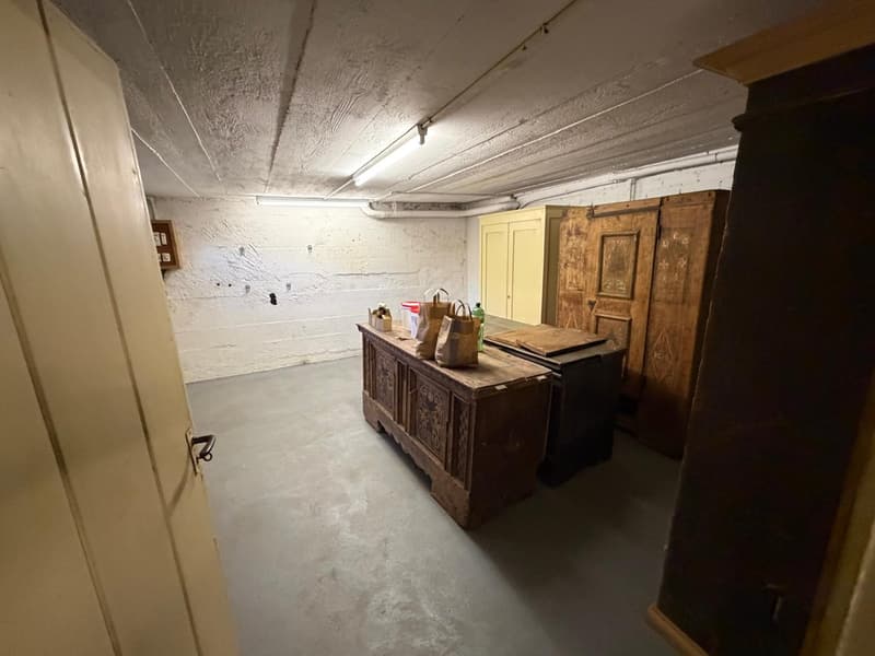 Ehemaliges Ärztehaus mit Bauland – 2’736 m² mit Entwicklungspotenzial in Triengen (17)
