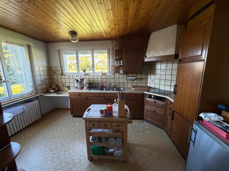 Ehemaliges Ärztehaus mit Bauland – 2’736 m² mit Entwicklungspotenzial in Triengen (10)