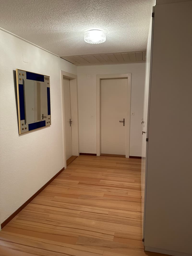 Mehrfamilienhaus in Schwyz mit vielseitigen Perspektiven (23)