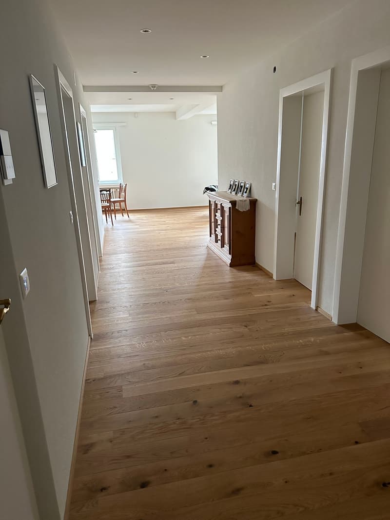 Mehrfamilienhaus in Schwyz mit vielseitigen Perspektiven (6)