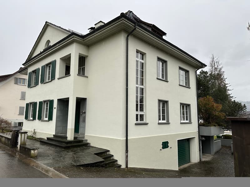 Mehrfamilienhaus in Schwyz mit vielseitigen Perspektiven (2)
