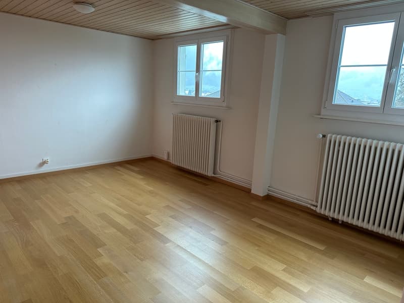 Mehrfamilienhaus in Schwyz mit vielseitigen Perspektiven (17)