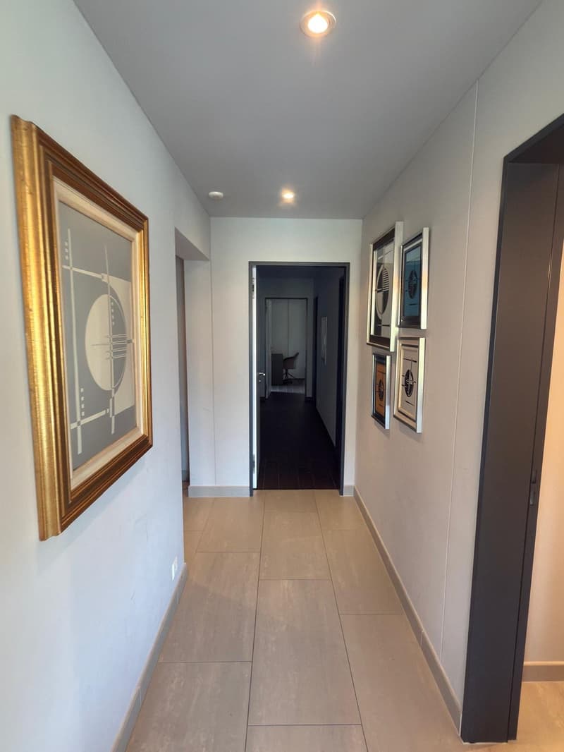Furnished Penthouse next to TASIS (5)