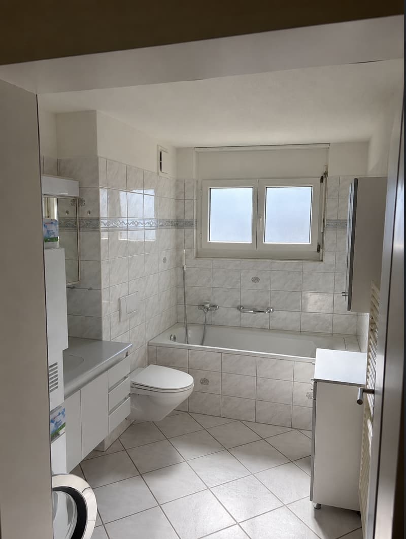 Helle 4.5-Zimmer-Wohnung in Wetzikon Kempten – sofort verfügbar! (6)