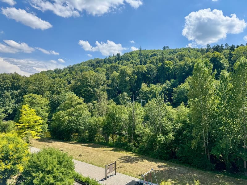 Appartement en propriété de 2,5 pièces avec vue sur la Töss (22)