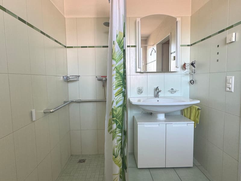 Appartement en propriété de 2,5 pièces avec vue sur la Töss (15)