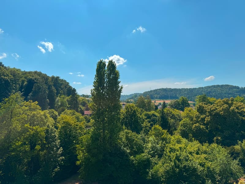 Appartement en propriété de 2,5 pièces avec vue sur la Töss (23)