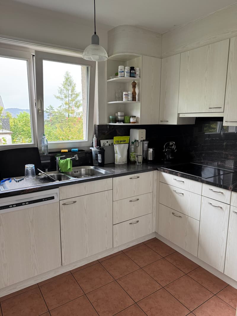 Grosszügige 8-Zimmer-Wohnung mit Balkon und wunderschöner Weitsicht (6)