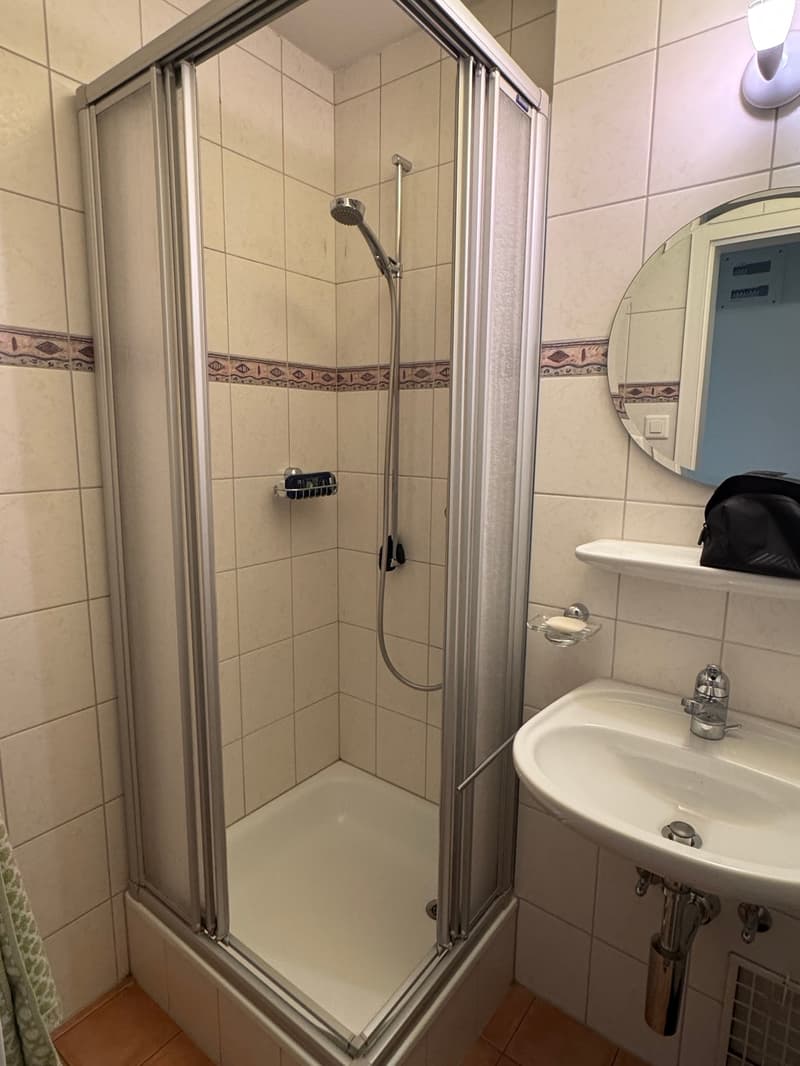 Grosszügige 8-Zimmer-Wohnung mit Balkon und wunderschöner Weitsicht (9)