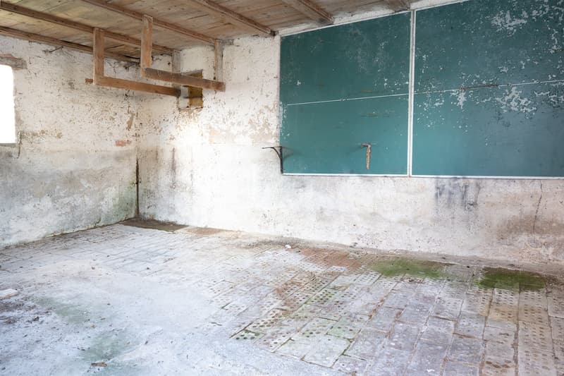Älteres, freistehendes 5,5-Zimmer-Einfamilienhaus in Büsingen auf grossem Grundstück (19)