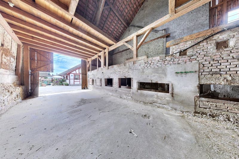 Intéressante propriété rurale à Buchberg SH avec réserve de terrain constructible (14)