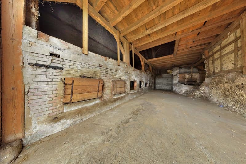 Buchberg SH: Ferme avec réserve de terrain constructible attractive (17)