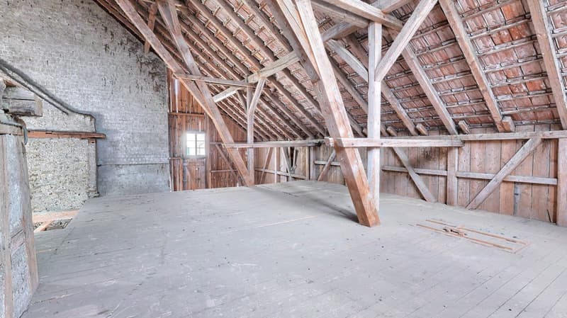 Buchberg SH: Ferme avec réserve de terrain constructible attractive (13)