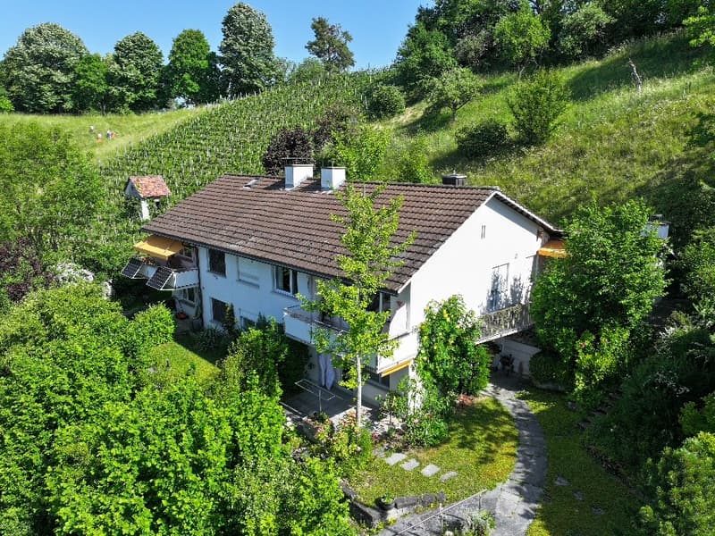 Wohnen mit Weitsicht - 5 1/2-Zimmer Einfamilienhaus an erhöhter Lage in Andelfingen (1)
