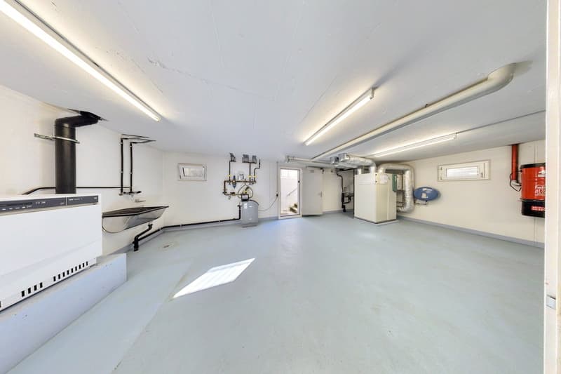Grosszügiges 6½-Zimmer-Einfamilienhaus an ruhiger Lage in Winterthur-Hegi (18)
