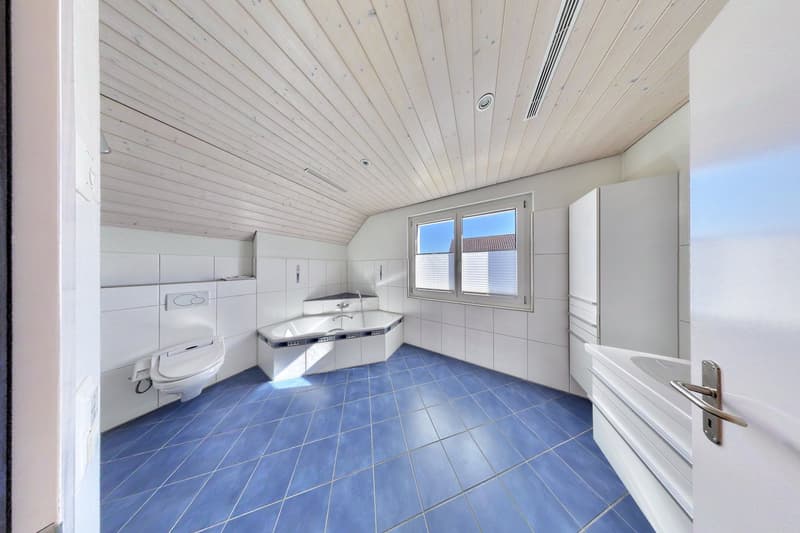 Grosszügiges 6½-Zimmer-Einfamilienhaus an ruhiger Lage in Winterthur-Hegi (17)
