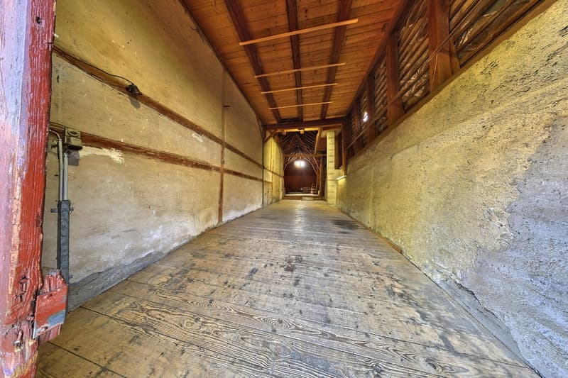Viel mehr als ein Wohnhaus - ein Paradies für Handwerker, Sammler und Visionäre (26)