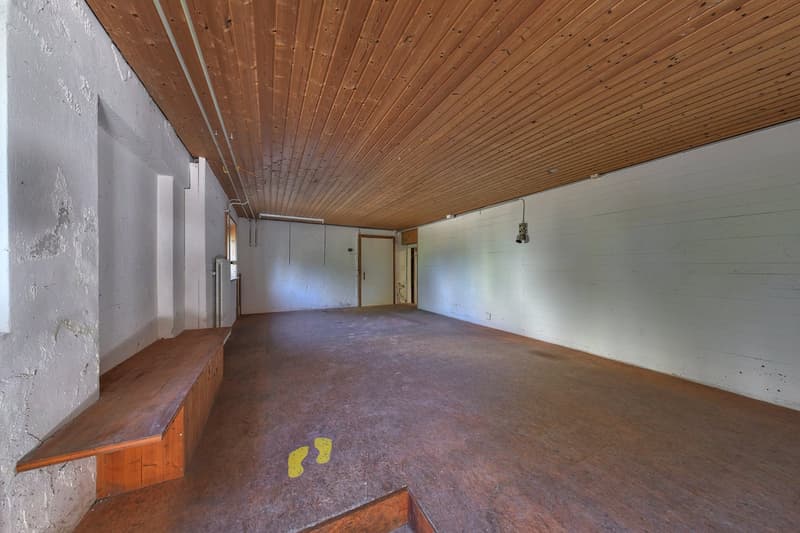 Viel mehr als ein Wohnhaus - ein Paradies für Handwerker, Sammler und Visionäre (20)