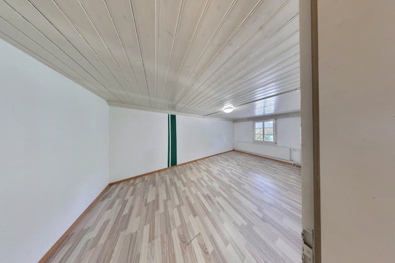 Viel mehr als ein Wohnhaus - ein Paradies für Handwerker, Sammler und Visionäre (20)