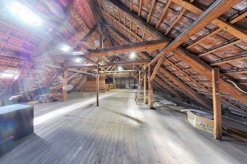 Viel mehr als ein Wohnhaus - ein Paradies für Handwerker, Sammler und Visionäre (23)