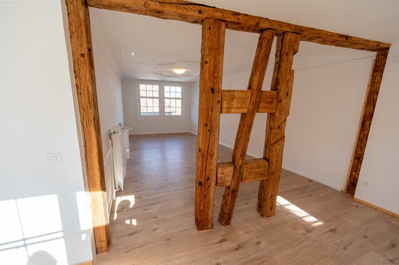 4-Zimmer-Wohnung mit Garten in idyllischer Lage – Stein am Rhein (1)